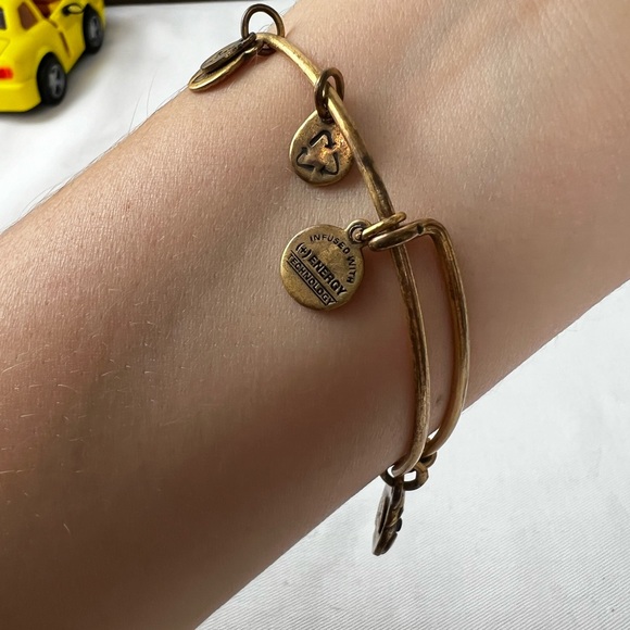 Alex and Ani Ladybug Charm Bracelet Rafaelian Gold Finish - Expands 2"- … - Picture 5 of 11